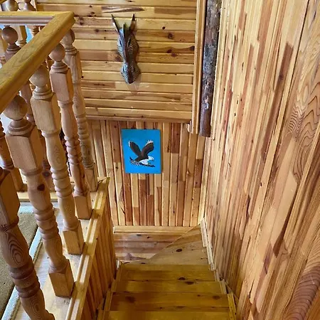 Chalet Cambasi Dag Evi